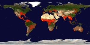Map of Fires on Globe 8 10 2023