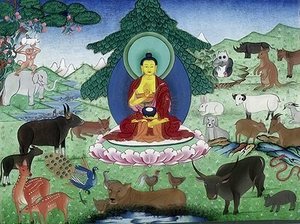 Buddha and Animals