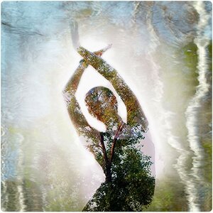 Yogi Stretching forest within